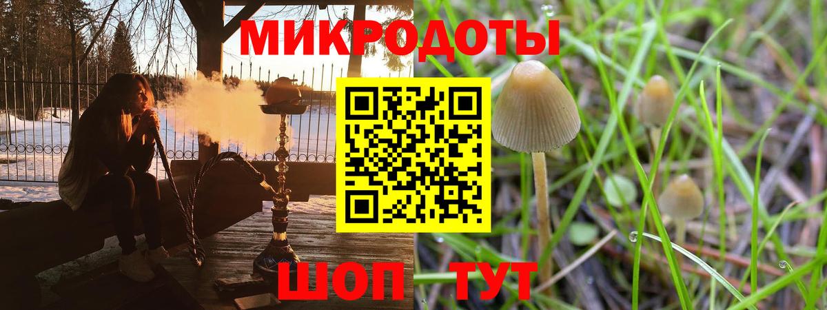 Галлюциногенные грибы ЛСД Рубцовск